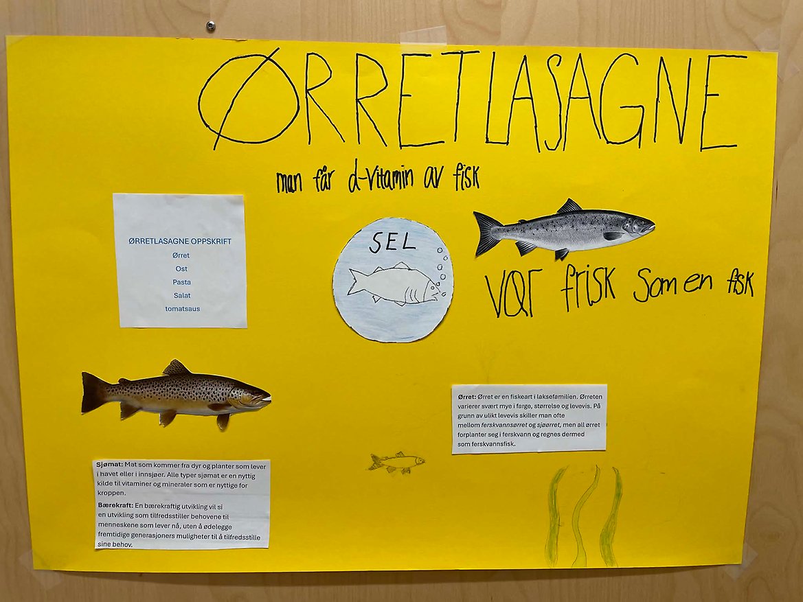 Ørretlasagne